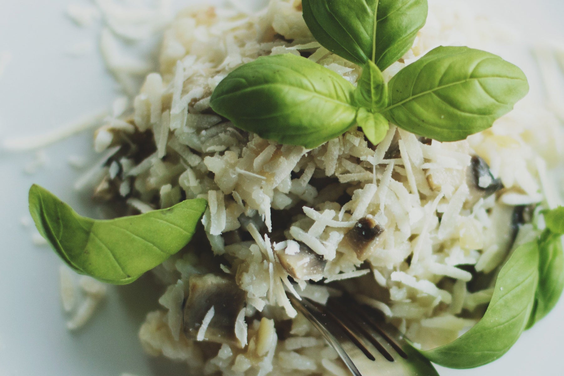 Risotto Gärtner Art - Genussbote