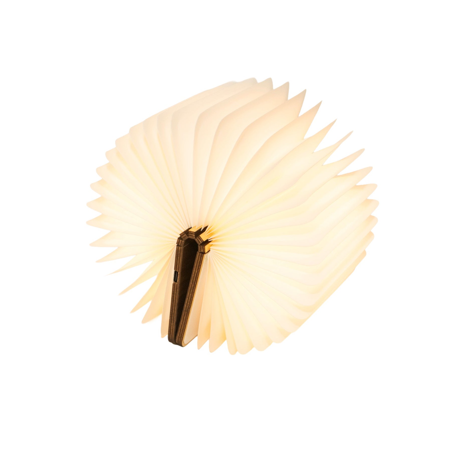 Booklamp S Walnuss