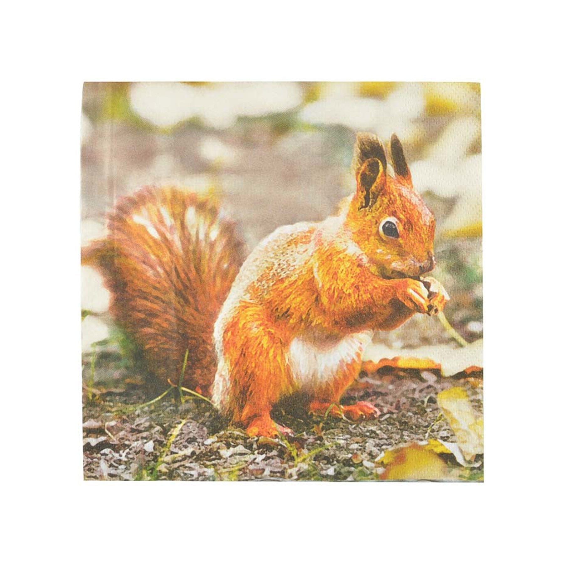 Servietten "Rotkehlchen und Eichhörnchen" - Genussbote