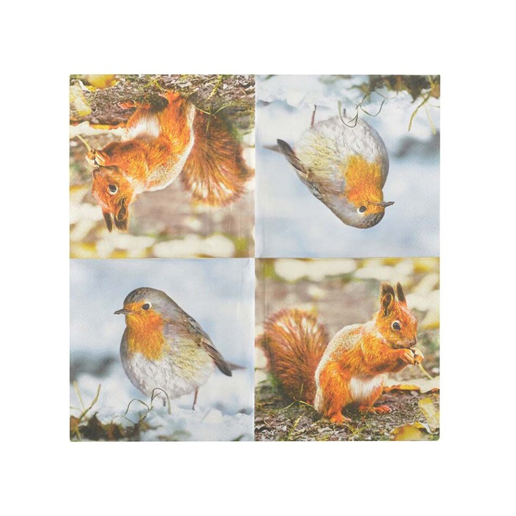 Servietten "Rotkehlchen und Eichhörnchen" - Genussbote